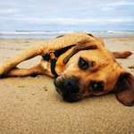 Ersteller:in Fanny Profilbild