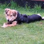 Ersteller:in Mally Profilbild