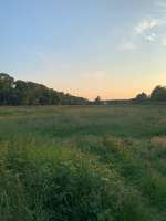 Hundeauslaufgebiet-Wiese Brandfurt-Bild