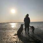 Ersteller:in Sabine Profilbild