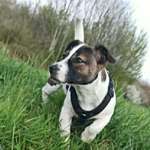 Ersteller:in Asita Profilbild