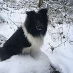 Ersteller:in Christina Profilbild