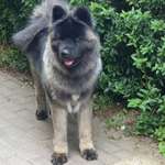 Ersteller:in Kathleen Profilbild