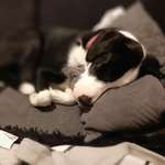 Ersteller:in Isabel Profilbild