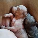 Ersteller:in Elena Profilbild