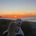 Ersteller:in Anna Profilbild