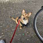 Ersteller:in Maria Profilbild