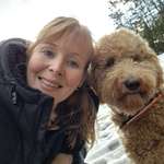 Ersteller:in Steffi Profilbild