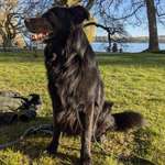 Ersteller:in Mali Profilbild