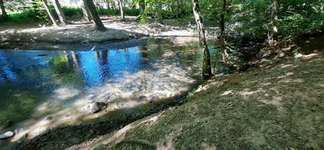 Hundeauslaufgebiet-Steinbruch, Grube7-Bild