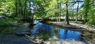 Hundeauslaufgebiet-Steinbruch, Grube7-Bild