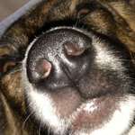 Ersteller:in Robin Profilbild