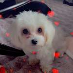 Ersteller:in Sandra Profilbild