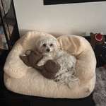 Ersteller:in Sandra Profilbild