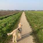 Ersteller:in A-Quay Profilbild