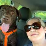 Ersteller:in Bettina Profilbild