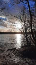 Hundeauslaufgebiet-Höhenfelder See-Bild