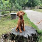 Ersteller:in Luisa Profilbild