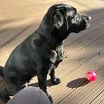 Ersteller:in Luc Profilbild