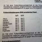 Tipps nach Allegietest-Beitrag-Bild