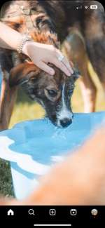 Was steckt in unserer süßen Maus?-Beitrag-Bild