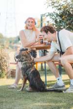 Was steckt in unserer süßen Maus?-Beitrag-Bild