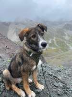 Was steckt in unserer süßen Maus?-Beitrag-Bild