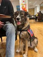 Was steckt in unserer süßen Maus?-Beitrag-Bild