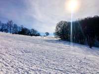 Hundeauslaufgebiet-Freitaler Burgwartsberg-Bild