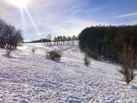 Hundeauslaufgebiet-Freitaler Burgwartsberg-Bild