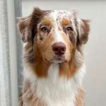 Ersteller:in Jacqueline Profilbild