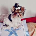 Ersteller:in Patricia Profilbild