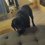 Ersteller:in Nick Profilbild