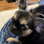 Ersteller:in Diana Profilbild