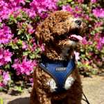 Ersteller:in Dilan Profilbild