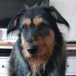 Ersteller:in Anna Profilbild