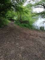 Hundeauslaufgebiet-Anglerseen-Bild