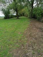 Hundeauslaufgebiet-Anglerseen-Bild