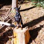 Ersteller:in Chiara Profilbild