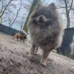 Ersteller:in Balu Profilbild