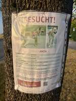 Suchmeldung-Ancia-Bild