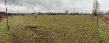 Hundeauslaufgebiet-Hundewiese Bertelsdorf-Bild