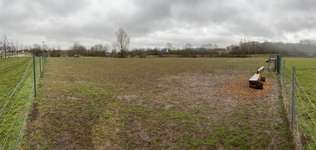 Hundeauslaufgebiet-Hundewiese Bertelsdorf-Bild