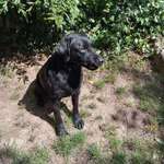 Ersteller:in Claudia Profilbild