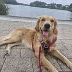 Ersteller:in Melanie Profilbild