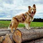 Ersteller:in Steffi Profilbild