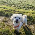 Ersteller:in Marianne Profilbild