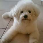 Ersteller:in Lena Profilbild