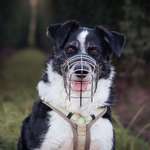 Ersteller:in Sarah Profilbild