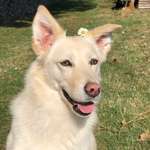 Ersteller:in lena Profilbild